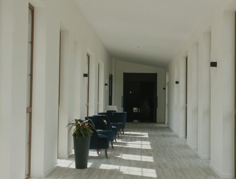 prikaz hodnika u kući sa nameštajem